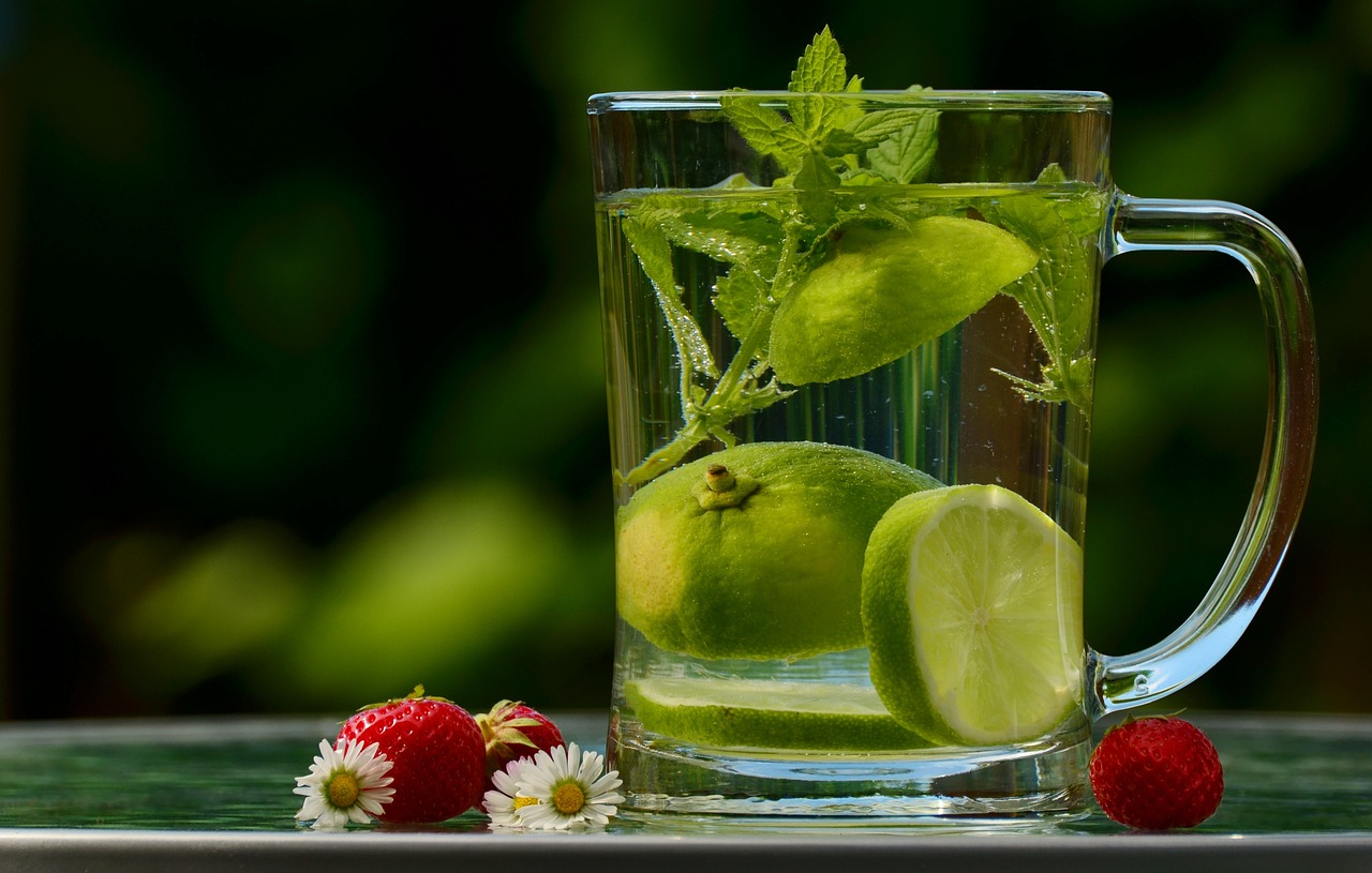 entdecken sie die besten tipps und produkte für das wohlbefinden ihres haustiers. erfahren sie, wie sie die gesundheit und das glück ihres freundes fördern können.