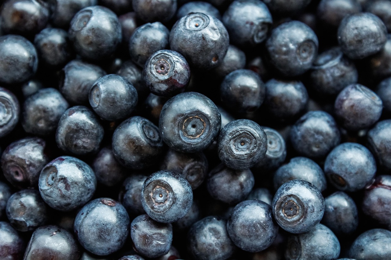 entdecken sie die neuesten ernährungstrends: von pflanzenbasierter ernährung über superfoods bis hin zu nachhaltigen essgewohnheiten. bleiben sie informiert über gesunde und innovative ernährungsmöglichkeiten für ein besseres wohlbefinden.