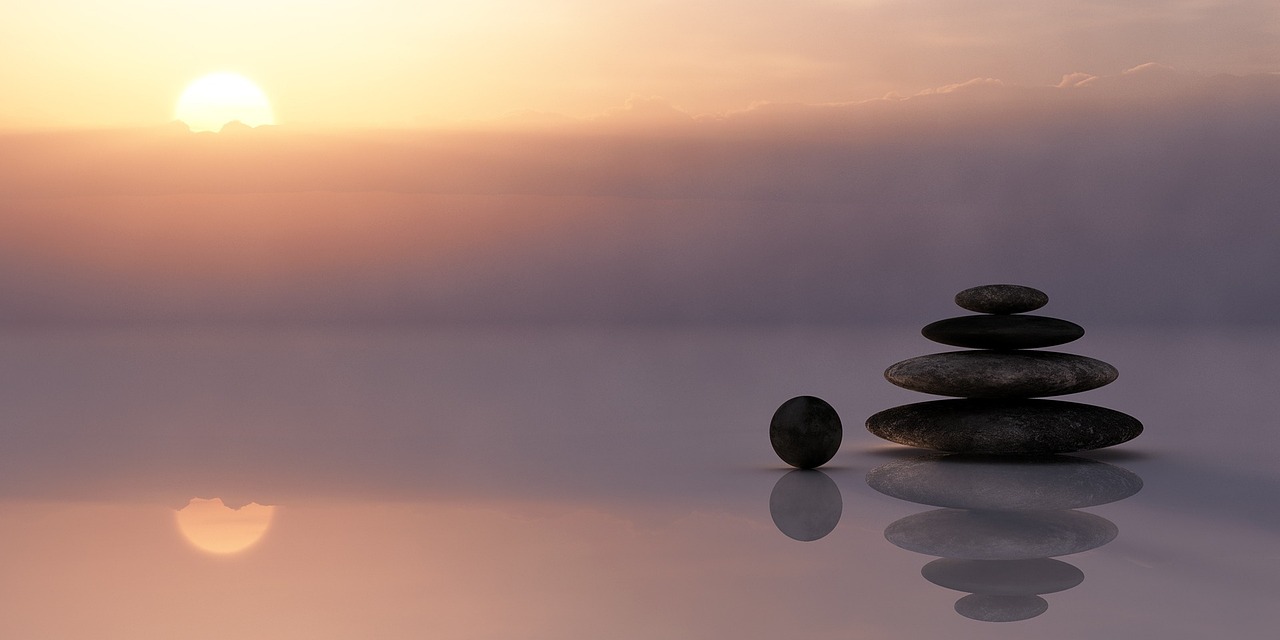 entdecken sie umfassende tipps und produkte für das wohlbefinden ihrer haustiere. verbessern sie die gesundheit und das glück ihres vierbeiners mit unseren effektiven strategien und ratschlägen.