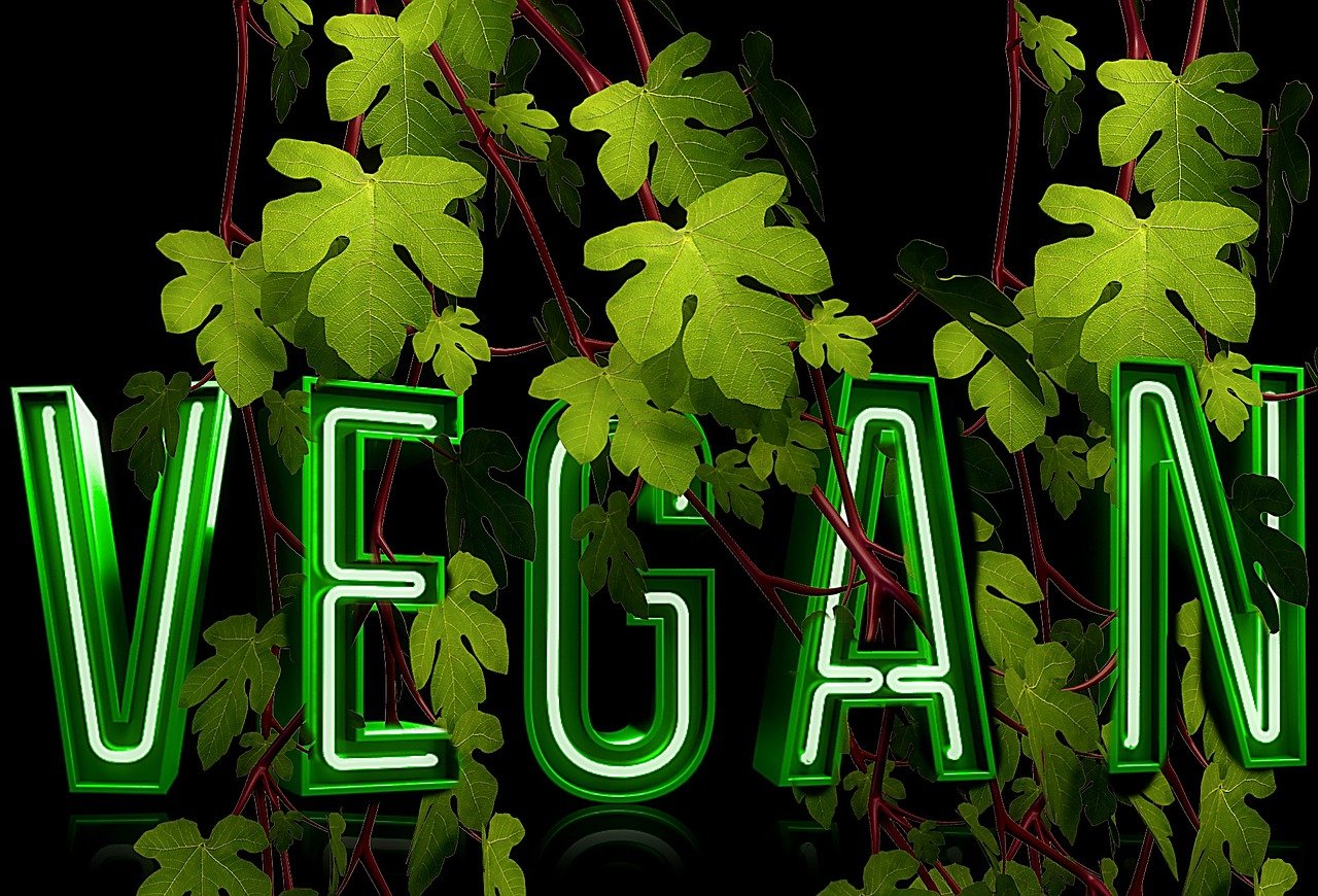 entdecken sie köstliche fleischlose gerichte, die nicht nur gesund, sondern auch voller geschmack sind. perfekt für veganer, vegetarier und alle, die ihren speiseplan abwechslungsreicher gestalten möchten!