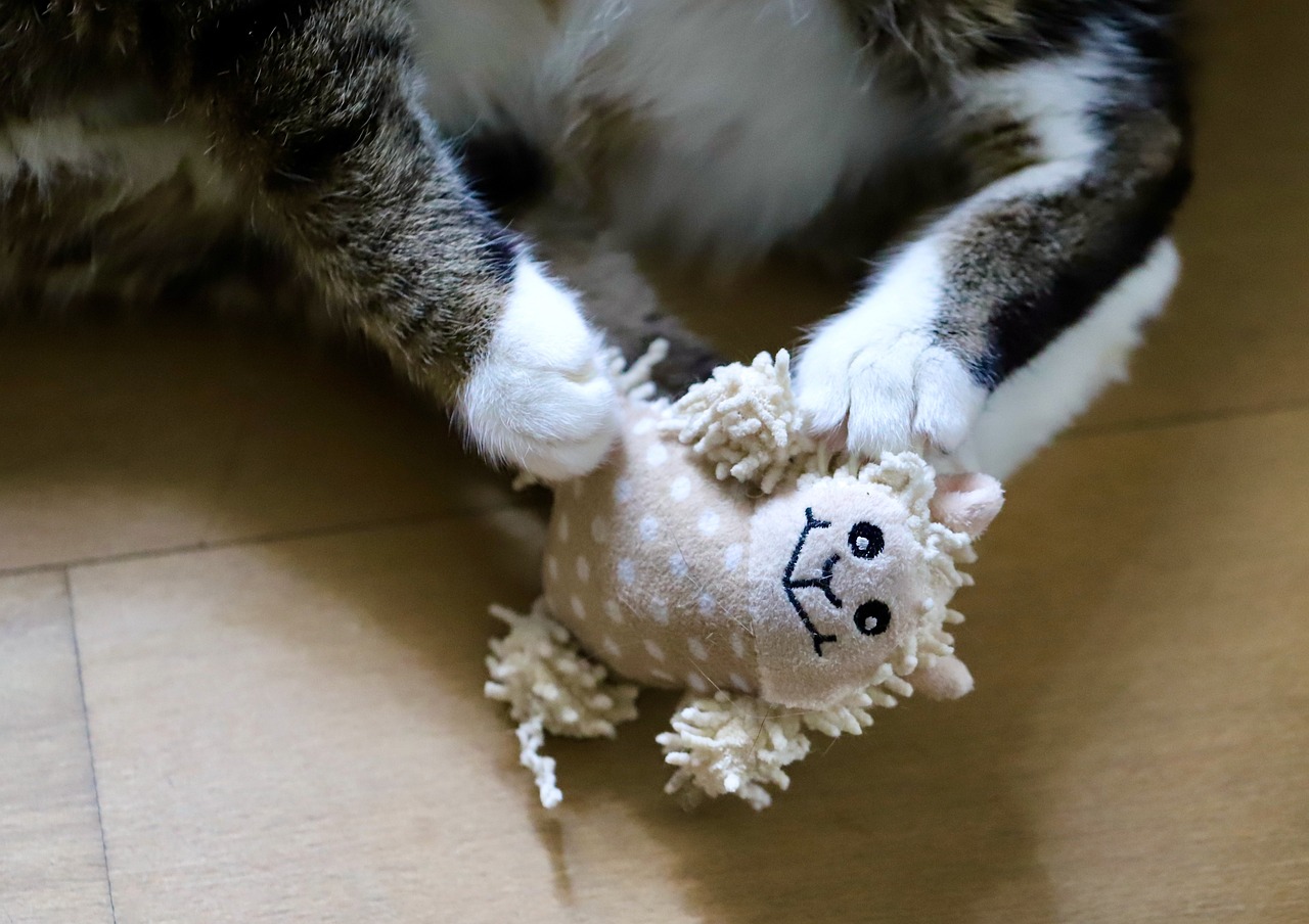 entdecken sie unsere große auswahl an katzenspielzeugen, die für stundenlangen spaß und beschäftigung sorgen. von interaktiven spielzeugen bis hin zu klassischen mäusen – finden sie das perfekte spielzeug für ihre katze!