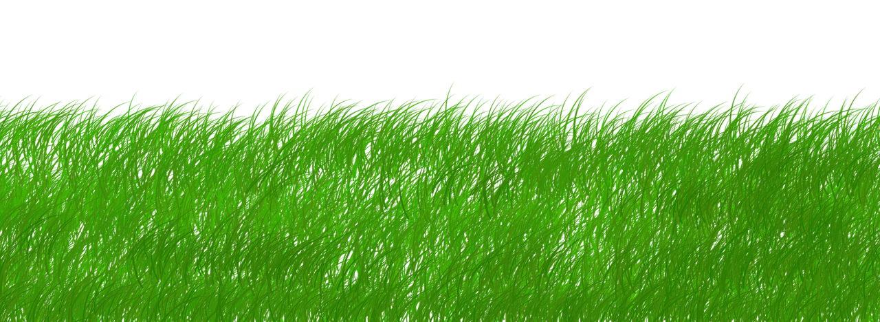 erfahren sie, wie nachhaltigkeit in verschiedenen lebensbereichen umgesetzt werden kann. entdecken sie tipps, strategien und initiativen, die ihnen helfen, umweltfreundlicher zu leben und einen positiven einfluss auf unseren planeten auszuüben.