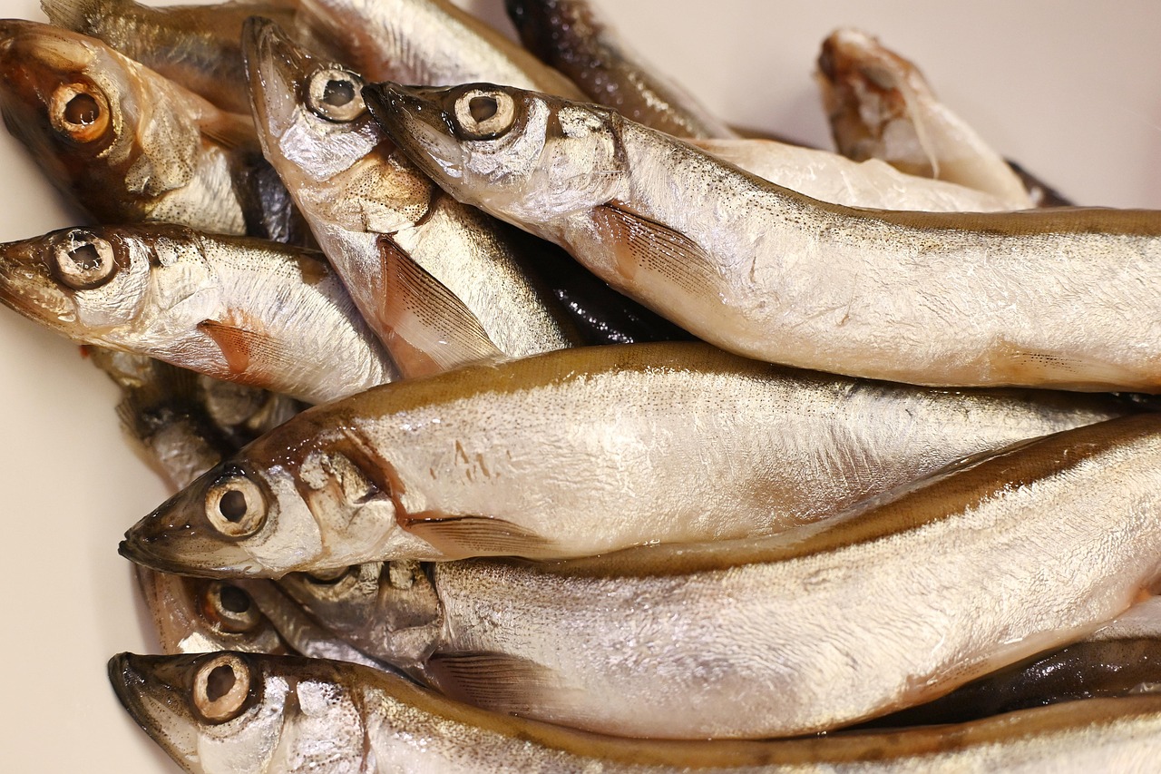 entdecken sie die welt des kochens: rezepte, tipps und schritt-für-schritt-anleitungen, um köstliche gerichte einfach selbst zuzubereiten. perfekt für anfänger und erfahrene köche!