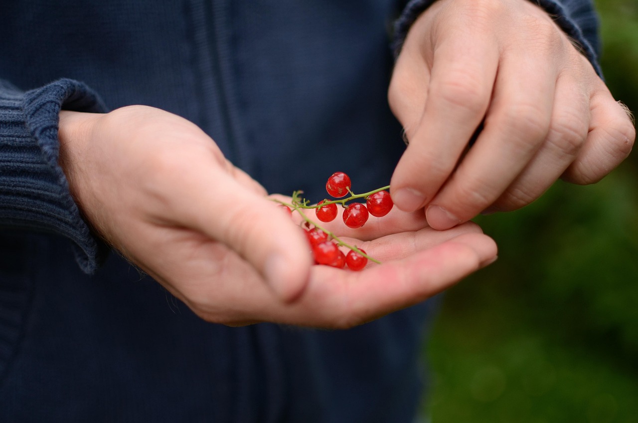 entdecken sie eine breite palette von gartenprodukten, die ihren außenbereich verschönern. von hochwertigen pflanzen über nachhaltige werkzeuge bis hin zu dekorativen accessoires - alles für einen blühenden garten!