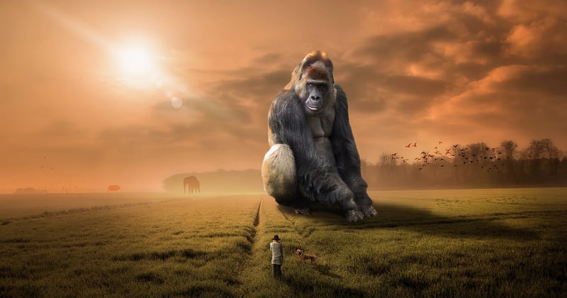 Gorilla Glue: Der ultimative Klebstoff-Test und seine besten Anwendungen