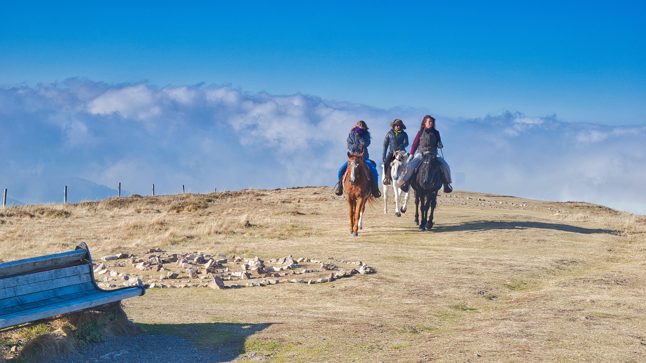 Reitgutscheine: So finden Sie die besten Angebote für einen unvergesslichen Reiturlaub