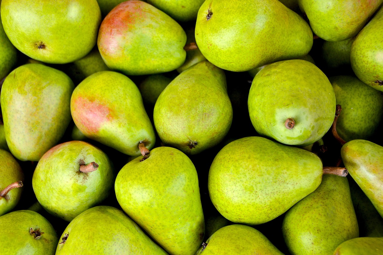 Ernährung: Tipps für eine ausgewogene und gesunde Lebensweise