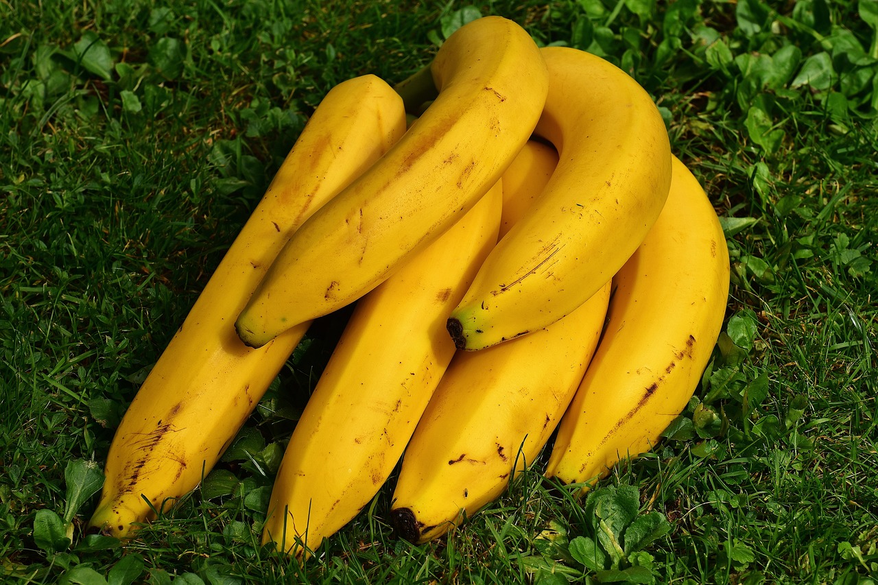 entdecken sie, wie eine gesunde ernährung ihr wohlbefinden steigern kann. tipps, rezepte und gesunde lebensmittel für ein ausgewogenes leben.