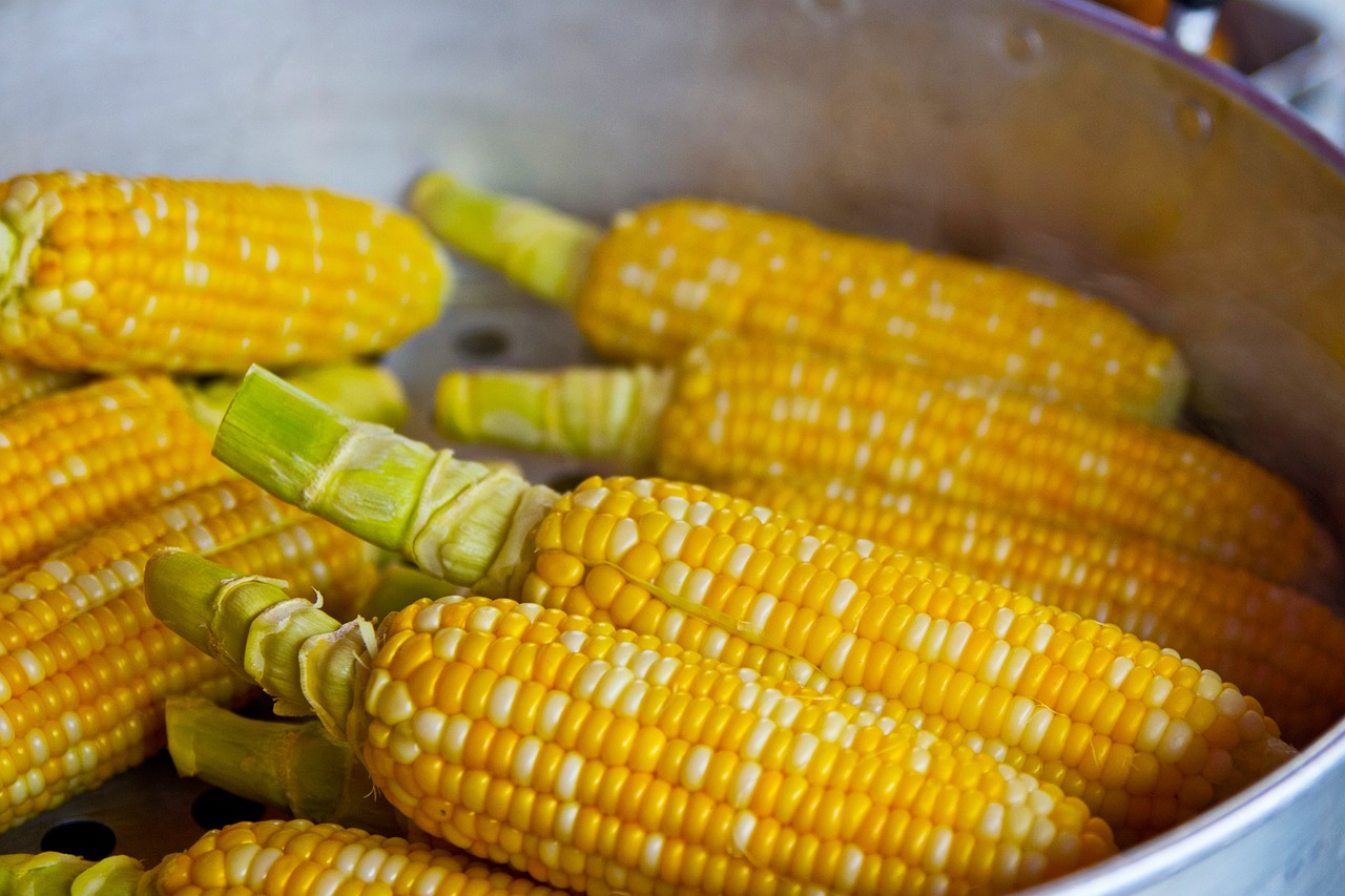 entdecken sie die wichtigsten aspekte der ernährung und wie sie durch ausgewogene mahlzeiten zu einer besseren gesundheit und mehr wohlbefinden gelangen können. erfahren sie tipps und rezepte für eine gesunde ernährung.