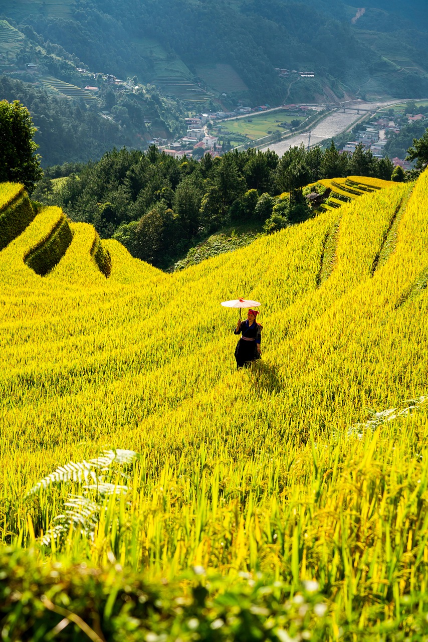 entdecken sie die neuesten trends und praktiken in der landwirtschaft. erfahren sie, wie nachhaltige anbaumethoden, innovative technologien und effiziente bewirtschaftung die zukunft der agrarwirtschaft gestalten. informieren sie sich über wertvolle tipps zur verbesserung ihrer ernte und zur förderung ökologischer anbauverfahren.