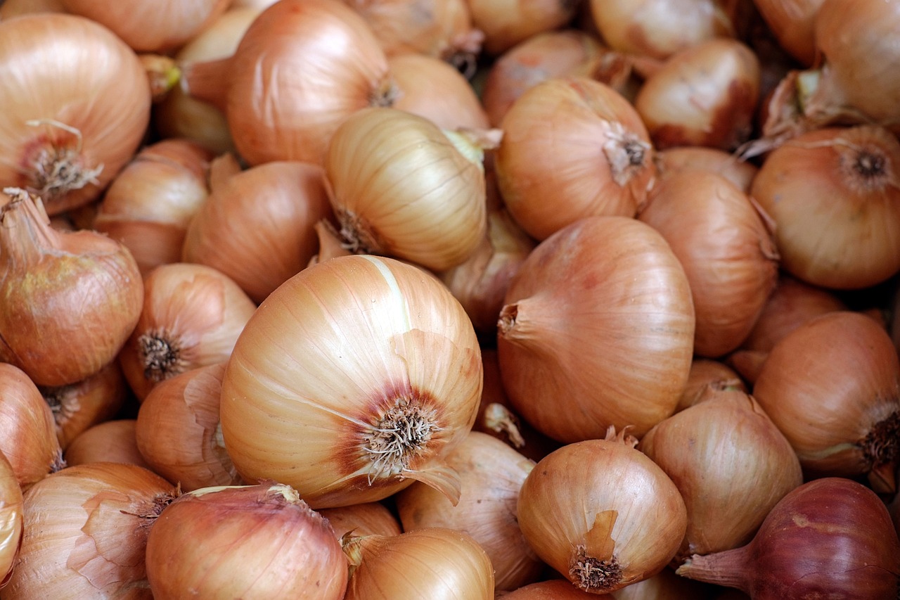 entdecken sie die faszinierende welt der kulinarischen genüsse. von traditionellen rezepten bis zu modernen kücheninspirationen - lassen sie sich von unseren tipps und tricks für ein unvergessliches kocherlebnis begeistern.