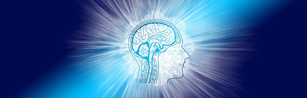 entdecken sie die bedeutung der emotionalen intelligenz und wie sie ihr persönliches und berufliches leben bereichern kann. erfahren sie, wie die entwicklung von empathie und selbstbewusstsein ihre beziehungen stärkt und zu mehr erfolg führt.