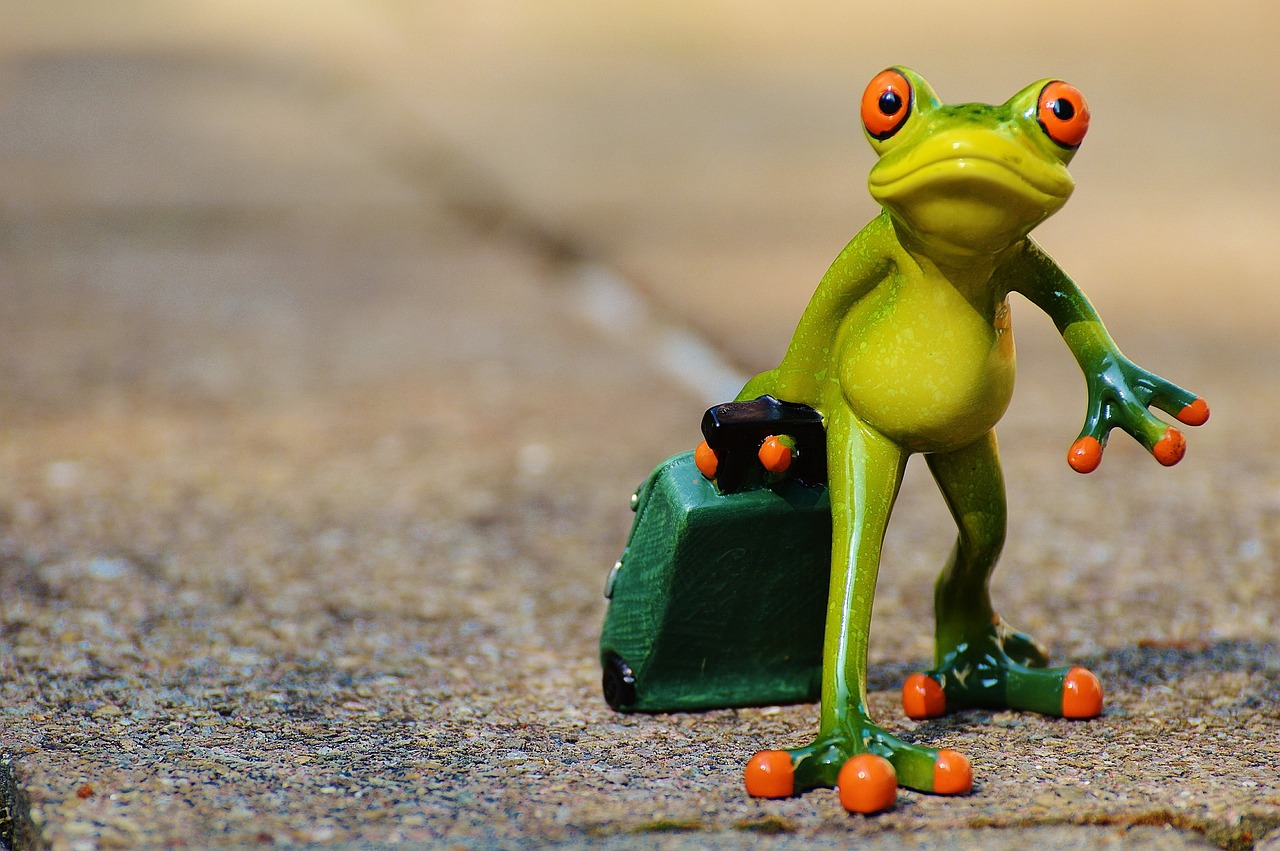 entdecken sie die welt des reisens! erfahren sie spannende tipps, inspirierende ziele und empfehlungen für unvergessliche abenteuer. planen sie ihre nächste reise mit uns!