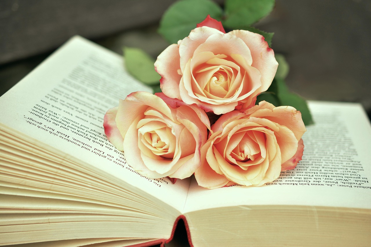 entdecken sie die faszinierende welt der westlichen literatur, von den klassikern bis zu modernen meisterwerken. tauchen sie ein in die geschichten, die generationen inspiriert haben, und erleben sie die kulturellen einflüsse, die die literarische landschaft geprägt haben.