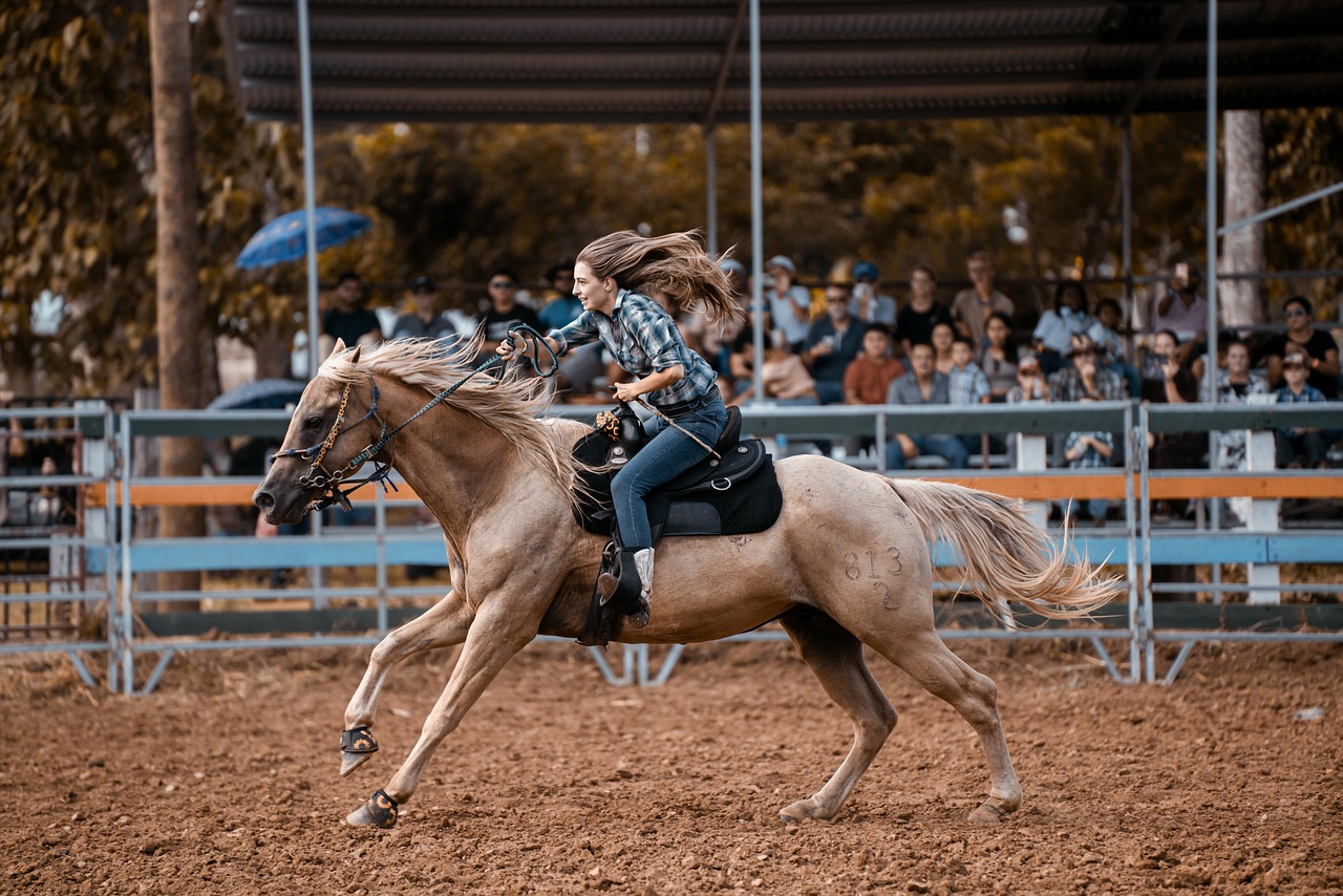 entdecken sie die faszinierende welt der cowboy-kultur! tauchen sie ein in die traditionen, bräuche und das leben der cowboys im wilden westen. erfahren sie mehr über ihre geschichte und den einfluss, den sie auf moderne gesellschaften haben.