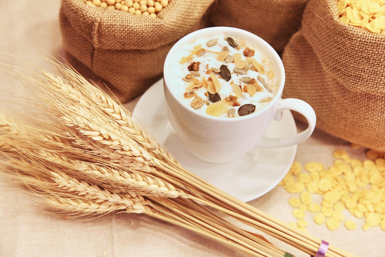 entdecken sie gesunde ernährung mit ausgewogenen rezepten und wertvollen tipps für eine bessere gesundheit und wohlbefinden. erfahren sie, wie sie nährstoffe optimal nutzen und ihre ernährung auf natürliche weise verbessern können.