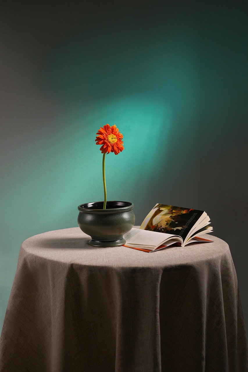 entdecken sie inspirierende wohnideen und stilvolle dekorationstipps für ihr zuhause. lassen sie sich von unseren einzigartigen designs und kreativen einrichtungslösungen begeistern, um eine gemütliche und einladende atmosphäre zu schaffen.