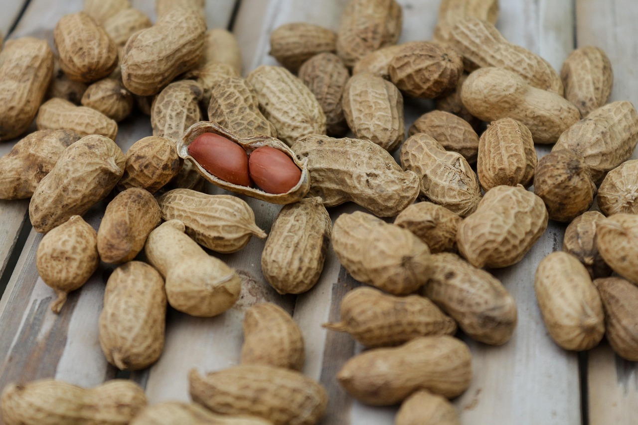 erhalten sie professionelle unterstützung bei ihrer ernährung mit unserem ernährungscounseling. optimieren sie ihre essgewohnheiten und erreichen sie ihre gesundheitsziele mit individuell abgestimmten beratungsdiensten.