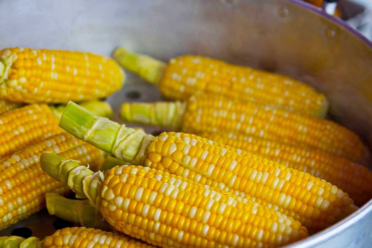 entdecken sie die neuesten ernährungstrends, die ihre gesundheit und ihr wohlbefinden fördern. von pflanzlicher ernährung bis zu superfoods – bleiben sie informiert über die besten tipps für eine ausgewogene und moderne ernährung.