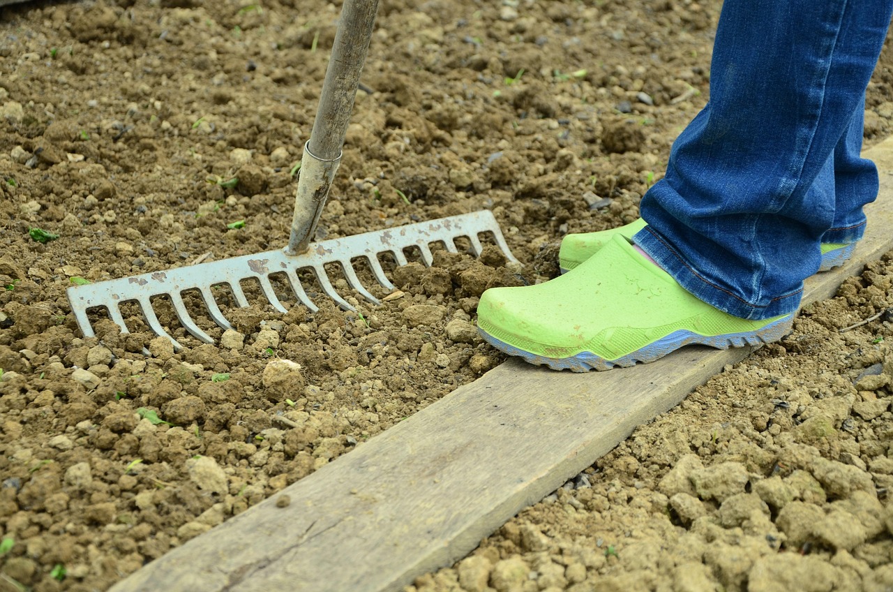 entdecken sie eine breite auswahl an gartenprodukten für eine blühende und gesunde gartenlandschaft. von hochwertigen pflanzen bis hin zu nützlichem gartenzubehör – alles, was sie brauchen, um ihren garten in einen traumhaften rückzugsort zu verwandeln.