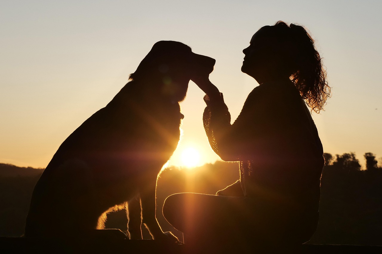 entdecken sie die besten tipps und ratschläge zur tierpflege. erfahren sie, wie sie ihr haustier gesund und glücklich halten – von ernährung über pflege bis zu freizeitaktivitäten.