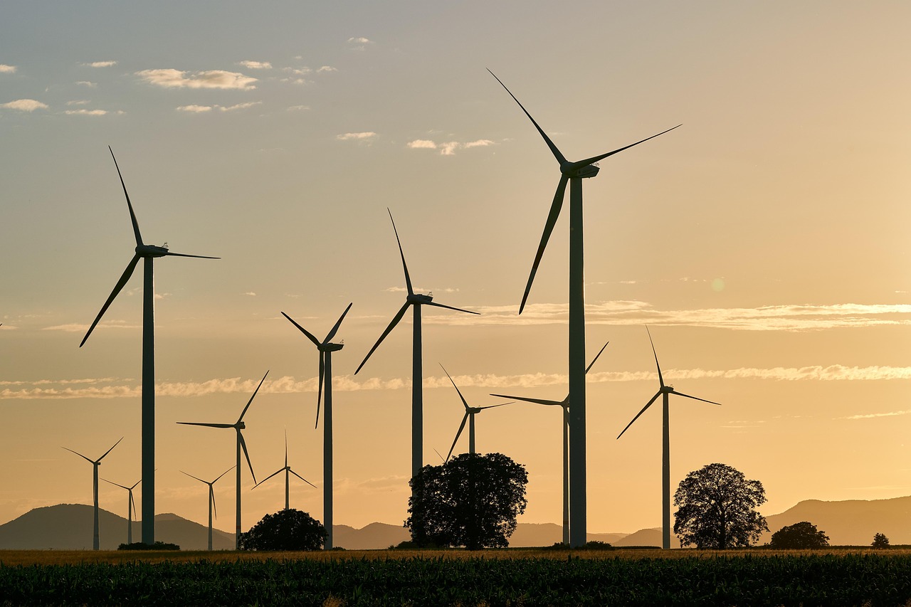 entdecken sie die neuesten nachhaltigen trends, die unsere welt positiv verändern, von umweltfreundlicher mode bis hin zu grüner energie. bleiben sie informiert über innovative ansätze für einen nachhaltigen lebensstil.