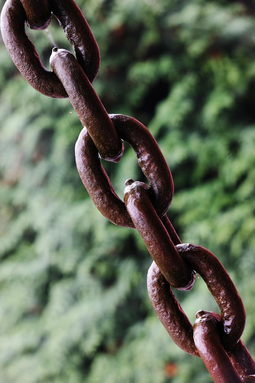 entdecken sie, wie verbindungen unser leben bereichern. connections bietet inspirierende geschichten, ratschläge und tipps, um nachhaltige beziehungen im privaten und beruflichen umfeld aufzubauen.